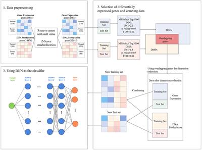 A Novel Biomarker Identification Approach for Gastric Cancer Using Gene Expression and DNA Methylation Dataset